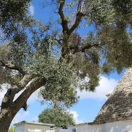 Vacation In An Unique Style House Casa vacanze